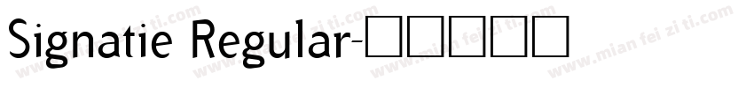 Signatie Regular字体转换